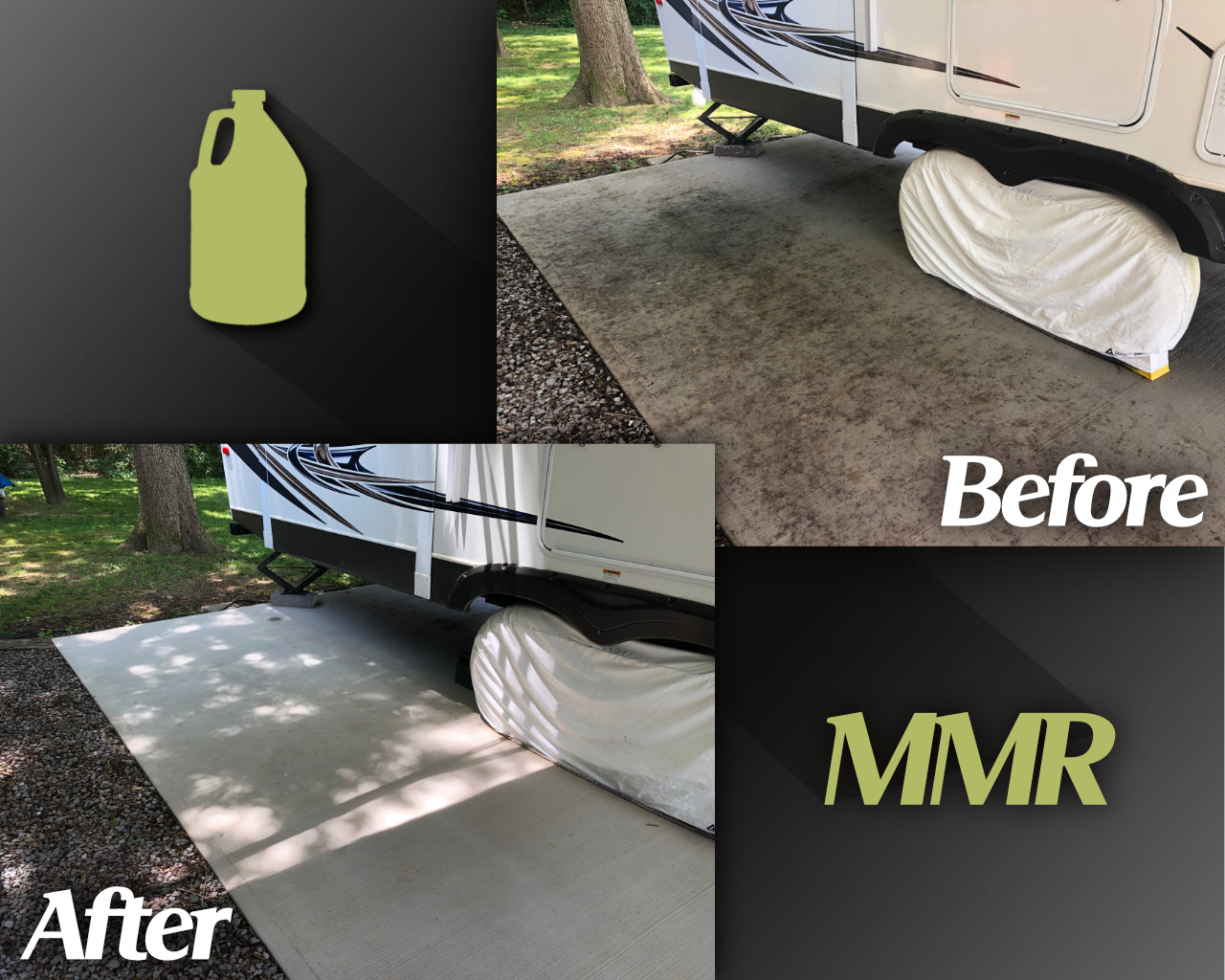 Bad Axe MMR Mold Stain Remover