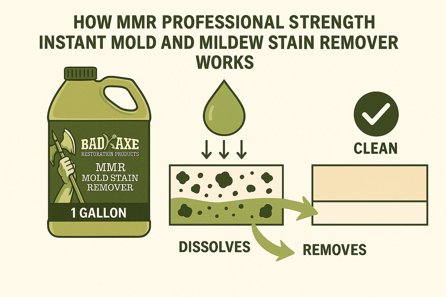 Bad Axe MMR Mold Stain Remover