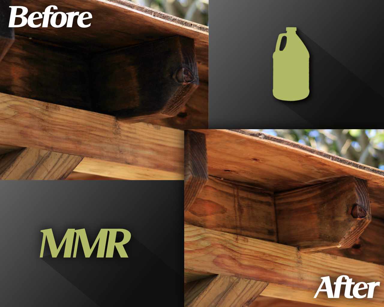 Bad Axe MMR Mold Stain Remover