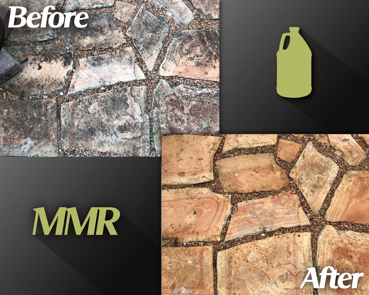 Bad Axe MMR Mold Stain Remover